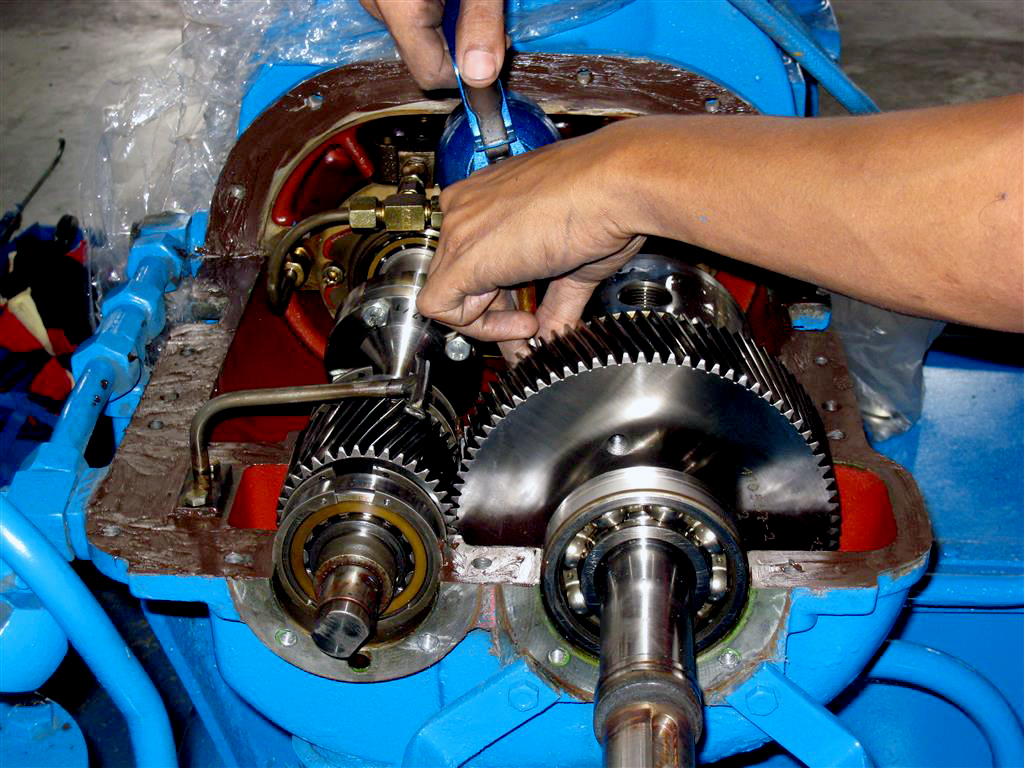 lorem ipsum dolor sit